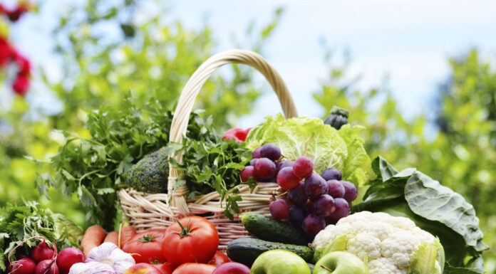 Adventures that You Can Try with Your Family