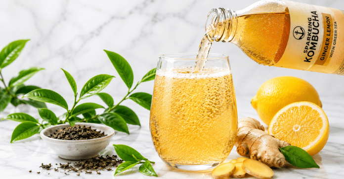 Best Kombucha for Gut Health 2026