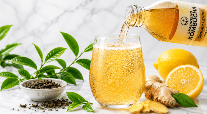 Best Kombucha for Gut Health 2026: Top Brands, Benefits & Complete Guide Best Kombucha for Gut Health 2026