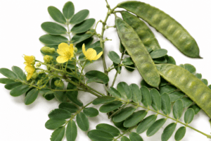 Best Senna Tea for Constipation: Top 5 Picks Reviewed (2026)