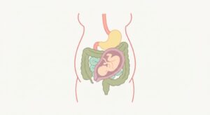Why Pregnancy Causes Constipation