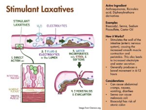 What Is Prunelax and How Does It Work