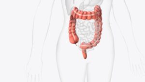What happens in your gut after a cup of coffee
